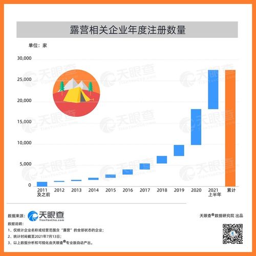 当露营成为一种生活方式的符号 市场调查服务的洞察与分析