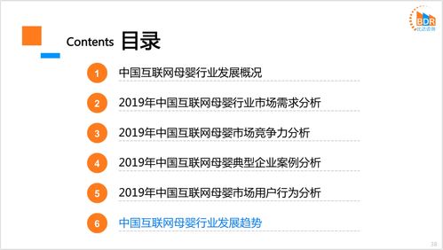 2019年度中国互联网母婴市场研究报告 洞察新生态下的增长机遇与挑战
