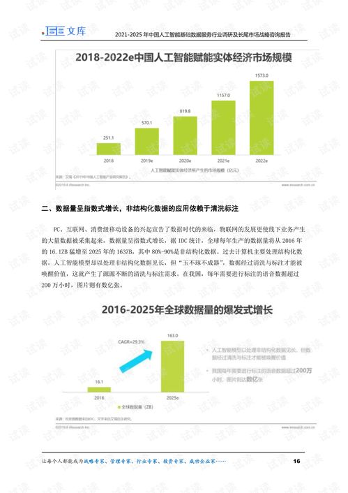 2021-2025年中国人工智能基础数据服务行业调研及长尾市场战略报告