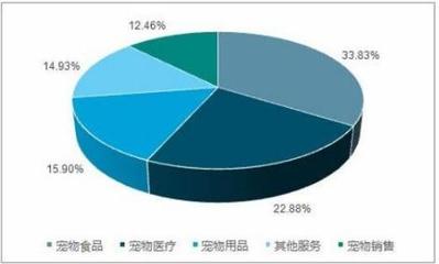 2021年宠物行业市场竞争格局与市场服务深度分析报告