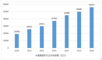 2017-2023年中国健康服务行业深度调研与投资战略研究报告