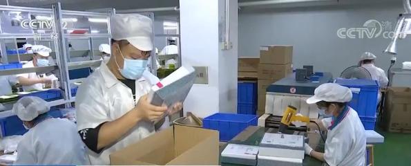 出口转内销 市场调查服务如何助力外贸企业释放增长潜力